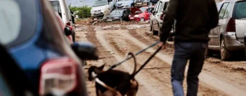 Valencia activa nuevos puntos de ayuda urgente para asistir a animales afectados por la DANA