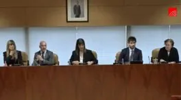 Begoña Gómez comparece en la comisión de la Asamblea que investiga su cátedra de la UCM