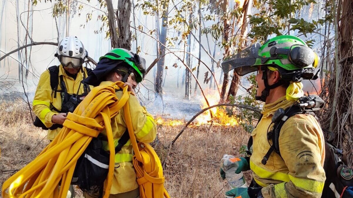 Absuelta por su colaboración una agricultora que provocó un incendio forestal en Granada