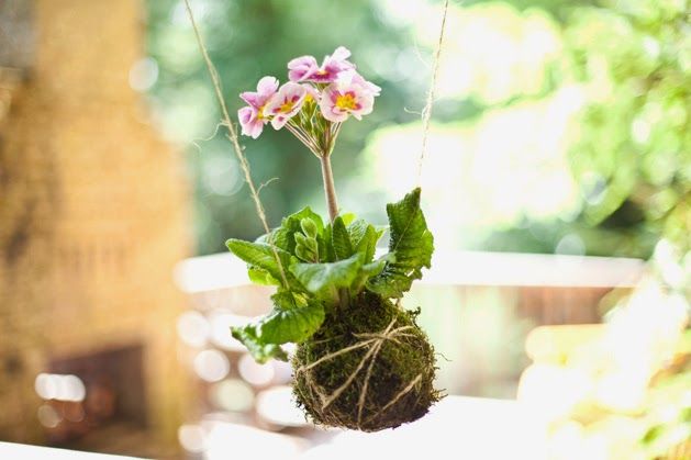 Kokedama: (Pinterest)