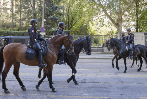 La Policía Nacional cuenta con 487 perros y 205 caballos