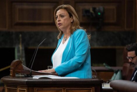 Coalición Canaria exige a Interior que refuerce el control de pasaportes en el aeropuerto Tenerife Sur