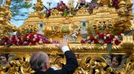 Polémica en Sevilla por un árbol sin podar que obligó cambiar el recorrido de una procesión