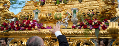 Polémica en Sevilla por un árbol sin podar que obligó cambiar el recorrido de una procesión