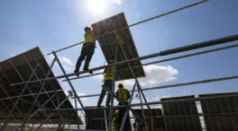 Agricultores en Jaén protestan por la tala de 100.000 olivos para un proyecto fotovoltaico