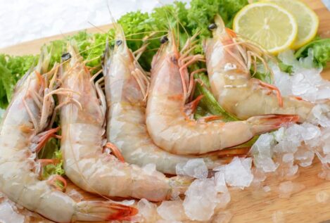 ¿Cómo podemos descongelar las gambas y que parezcan frescas?