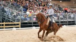 Madrid Horse Week dejará en la capital más de 33 millones de euros en apenas cuatro días