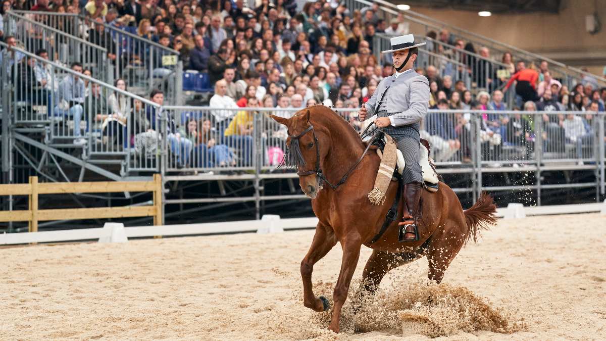 Madrid Horse Week dejará en Madrid más de 33 millones de euros en apenas cuatro días