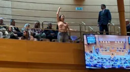 Expulsan del Senado a dos activistas de Femen tras irrumpir en el hemiciclo durante un pleno