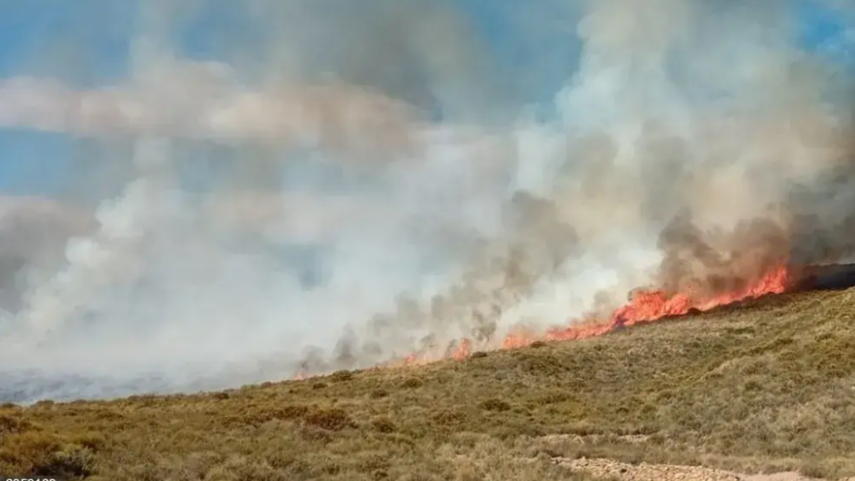 Estabilizado el incendio en Almería originado por un proyectil en maniobras militares