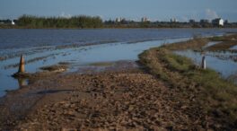 Compromís urge a la alcaldesa de Valencia a crear un presupuesto para limpiar La Albufera