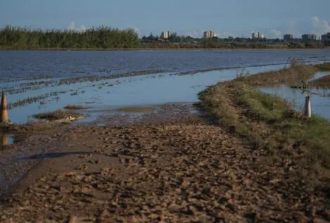 Compromís urge a la alcaldesa de Valencia a crear un presupuesto para limpiar La Albufera