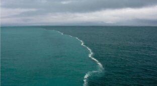 ¿Por qué hay una línea visible que separa el agua del océano Atlántico de la del Pacífico?