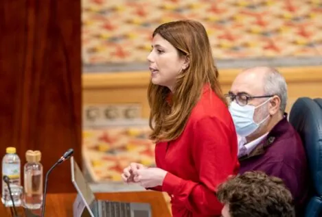 Más Madrid aparta a Arenillas de la Comisión de Mujer de la Asamblea tras el 'caso Errejón'