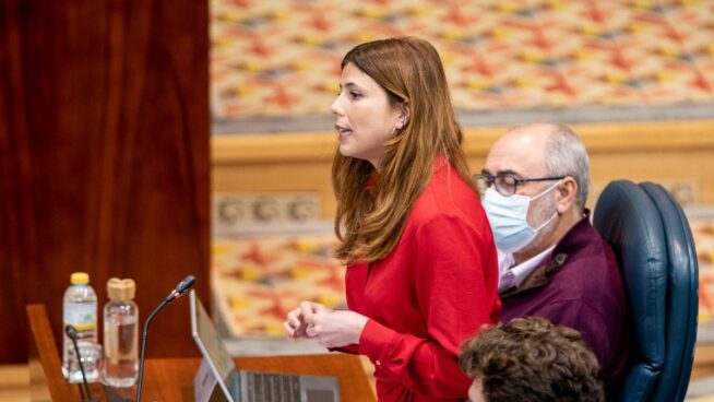 Más Madrid aparta a Arenillas de la Comisión de Mujer de la Asamblea tras el 'caso Errejón'