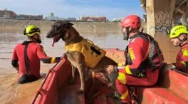 Ascienden a 217 los fallecidos por la riada en Valencia