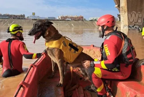 En la crisis de Valencia se apreció falta de mando