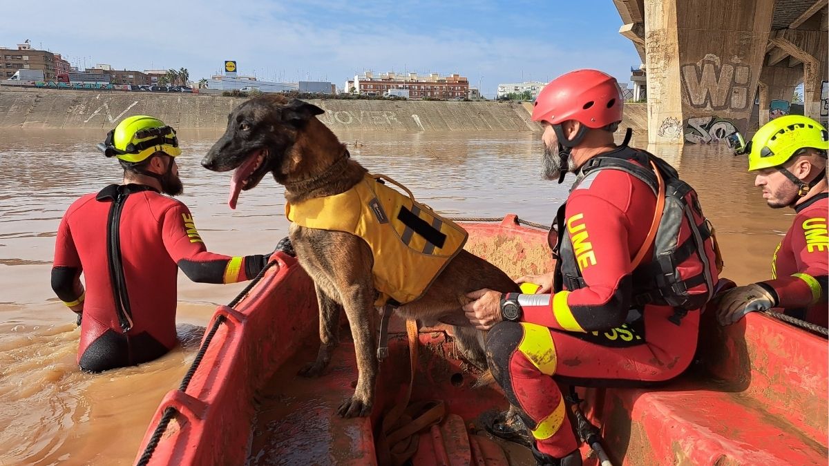 Ascienden a 217 los fallecidos por la riada en Valencia