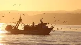 España, Francia e Italia se unen en Bruselas para ampliar la pesca en el Mediterráneo