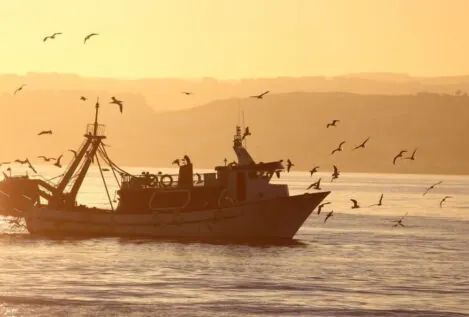 España, Francia e Italia se unen en Bruselas para ampliar la pesca en el Mediterráneo