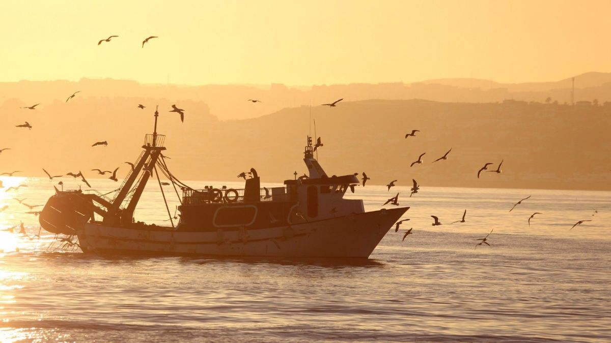 España, Francia e Italia se unen en Bruselas para ampliar la pesca en el Mediterráneo