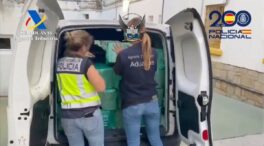 Interceptadas en Algeciras 13 toneladas de cocaína, el mayor alijo de esta droga en España