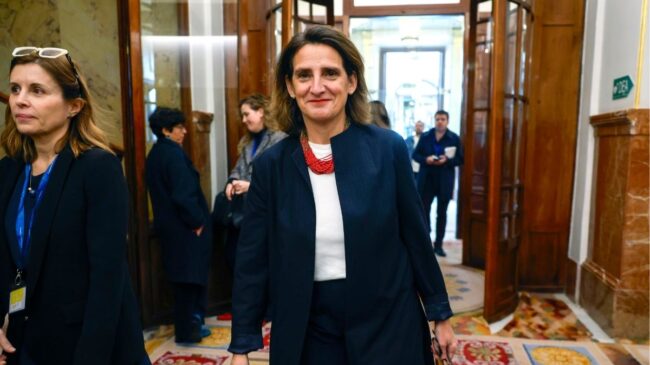 El cargo de Ribera que concedió la licencia a Villafuel admite fallos para combatir el fraude