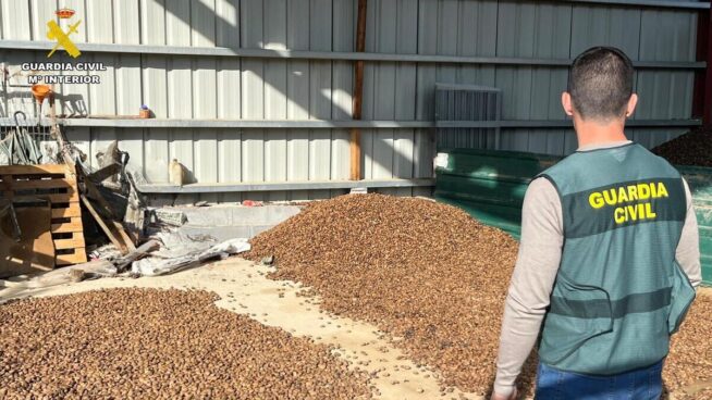 La Guardia Civil investiga a dos personas por el robo de 5.000 kilos de almendras en Huesca