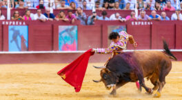 Antitaurinos marcharán este sábado contra la corrida benéfica por la DANA en Vistalegre