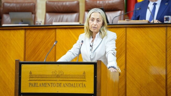 Andalucía defiende que «todos» los contratos covid «están avalados por informes jurídicos»