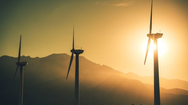 El juez instructor del 'caso Forestalia' suspende los plazos procesales hasta el 31 de marzo