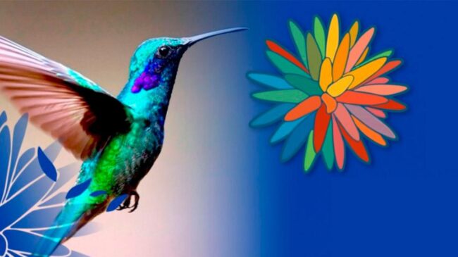 COP16 y los guardianes de la biodiversidad 
