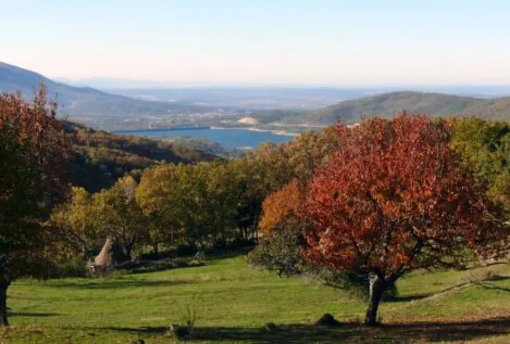 Otoño Mágico: todas las actividades que puedes hacer en el Valle del Ambroz