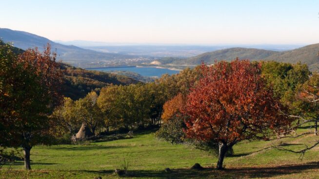 Otoño Mágico: todas las actividades que puedes hacer en el Valle del Ambroz