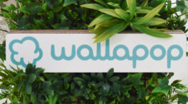 Wallapop: manual de supervivencia