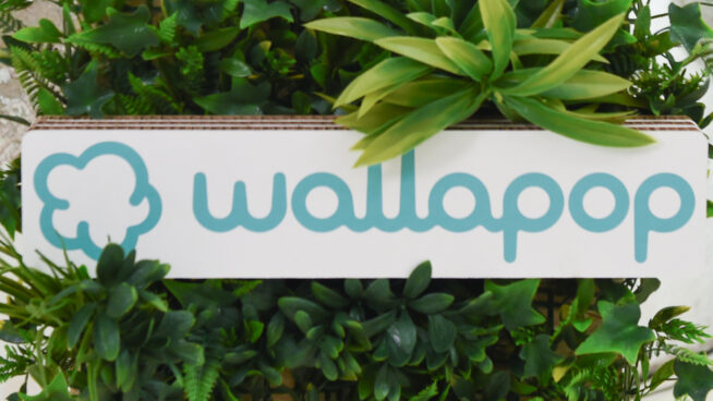 Wallapop: manual de supervivencia