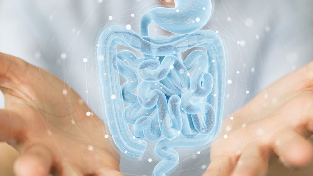 Rejuvenecer con salud, el secreto milenario escondido en la microbiota