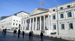 El Congreso celebra el Día de la Constitución con un homenaje al nuevo artículo 49