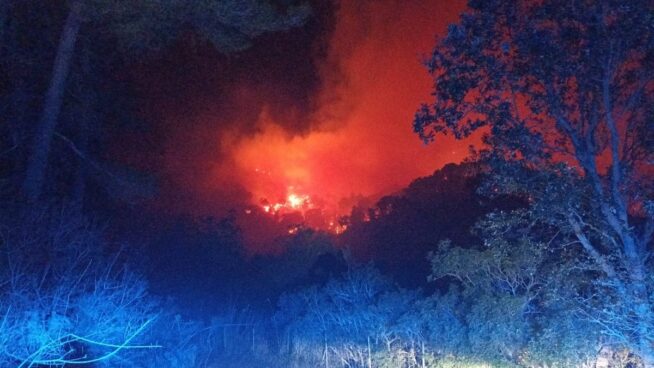 Estabilizado el incendio forestal de Andrach (Mallorca) tras calcinar 60 hectáreas