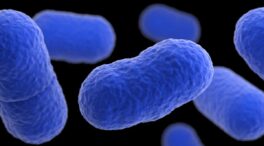 La listeriosis roza los 3.000 casos en la UE y alcanza los niveles más altos desde 2007