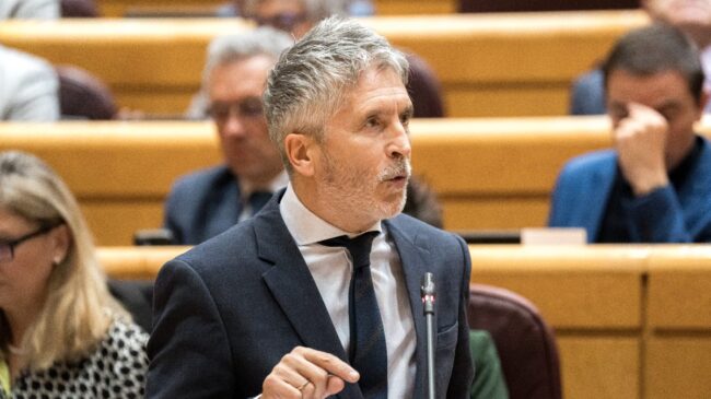 Interior tendrá que explicar al juez por qué mandó a Venezuela al guardia civil investigado