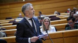 Iustitia Europa impugna ante la Audiencia Nacional el registro turístico de Marlaska