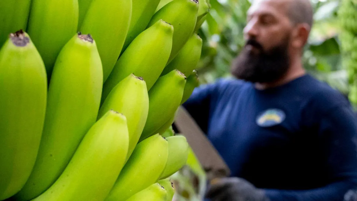 Frutas y hortalizas de proximidad, una apuesta imprescindible que necesitan los hogares