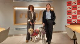 Renfe incluye nuevos destinos para poder viajar en AVE con perros de hasta 40 kilos