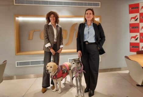 Renfe incluye nuevos destinos para poder viajar en AVE con perros de hasta 40 kilos