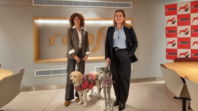 Renfe incluye nuevos destinos para poder viajar en AVE con perros de hasta 40 kilos