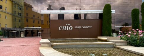 El CNIO busca nuevo director: de reconocido prestigio internacional y 10 años de experiencia