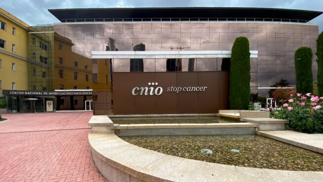 El CNIO busca nuevo director: de reconocido prestigio internacional y 10 años de experiencia 