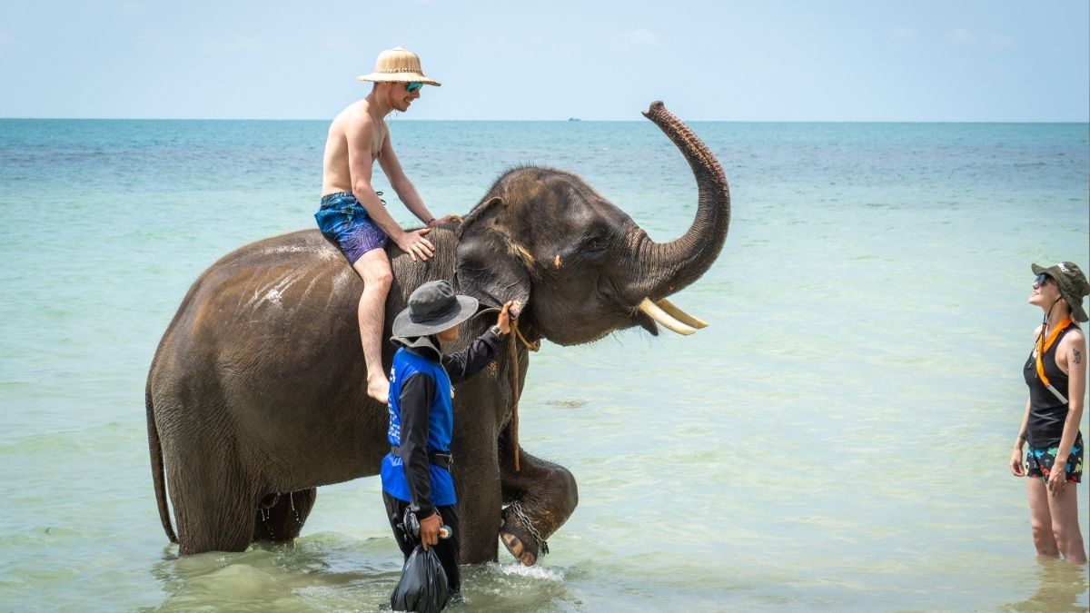 La Policía de Tailandia presenta cargos contra el cuidador del elefante que mató a una española