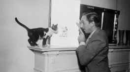 Walt Disney, la eternidad de un soñador americano